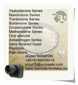 Anastrozole Bodybuilding Bulk Steroid Powder 